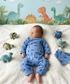 Stegosaurus Print Romper
