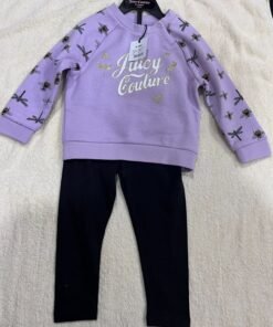 Alternative view of Bee Raglan Crew Brush Back And Legging Set Lavendula